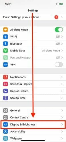 iPhone Display and Brightness option