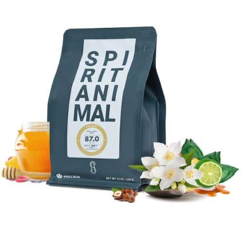 Bag of Spirit Animal Coffee beans