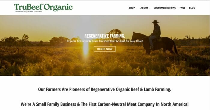 The homepage of trubeeforganic.com
