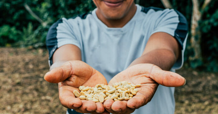 Man holding fresh green coffee beans
