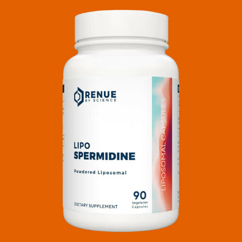 Bottle of Renue By Science Lipo Spermidine capsules